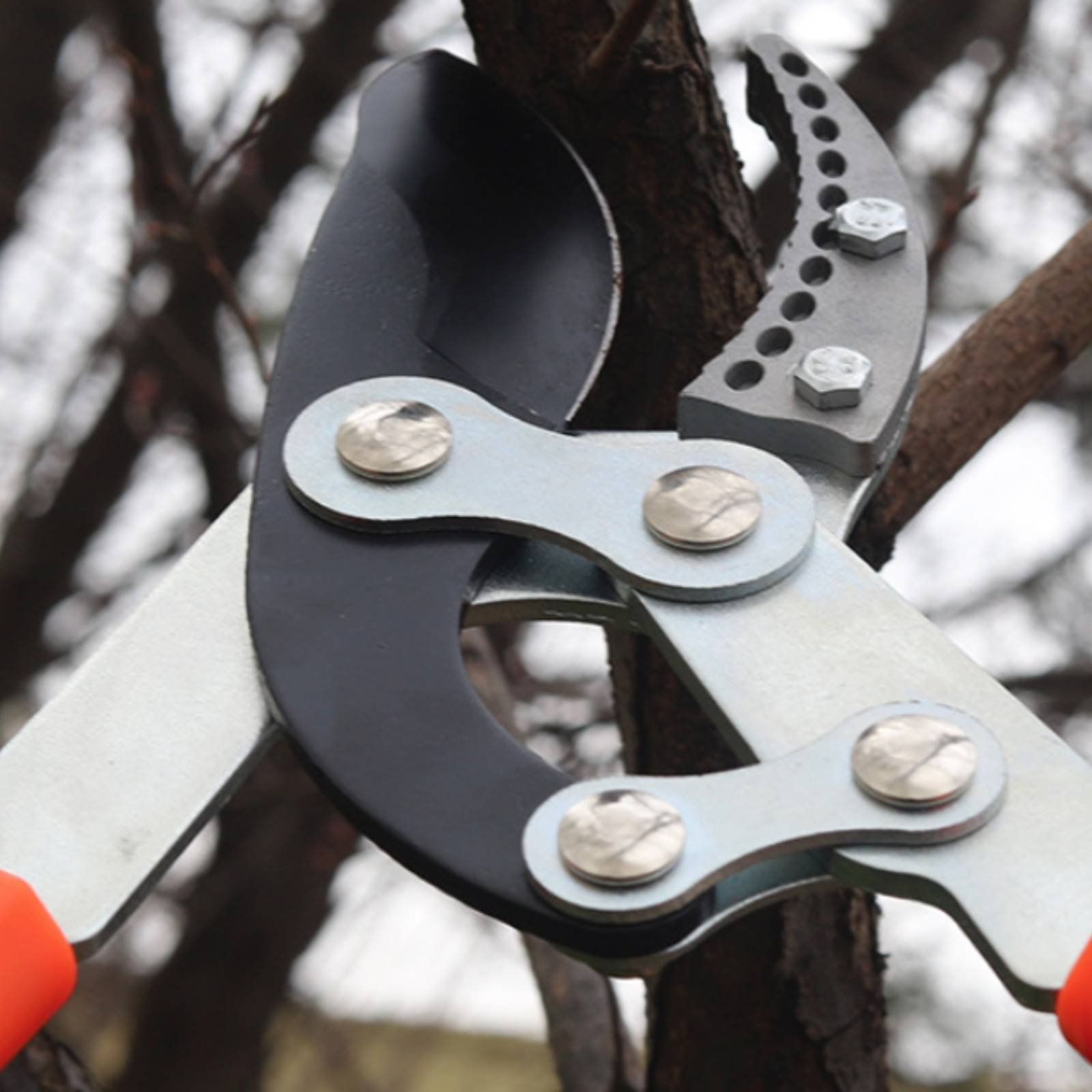 กรรไกรตัดกิ่งแบบยืดหดได้ ใบมีด - Garden Tools บทวิจารณ์และราคา