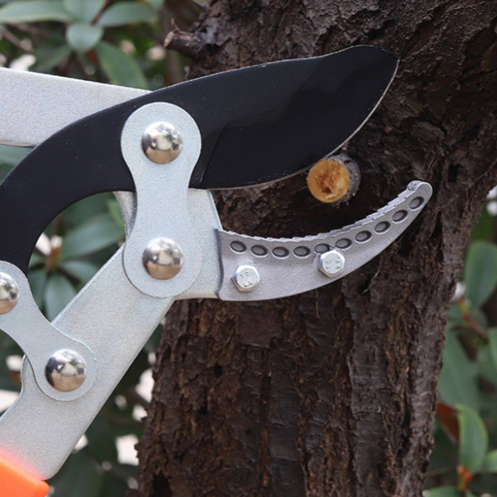 กรรไกรตัดกิ่งแบบยืดหดได้ ใบมีด - Garden Tools บทวิจารณ์และราคา